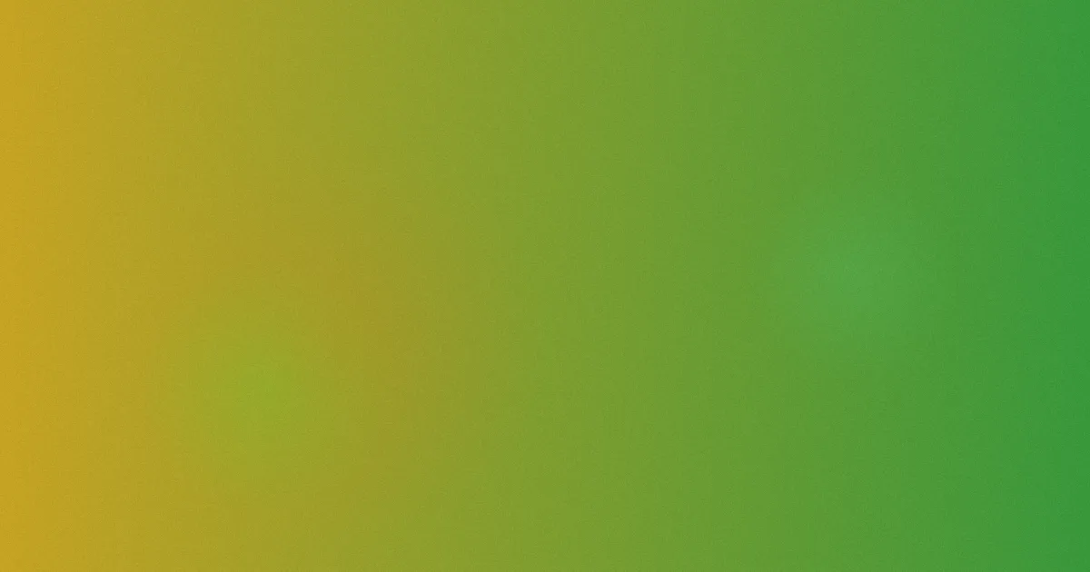 多年以后避坑：别输给记忆